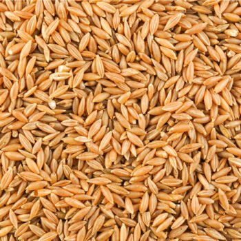 MOONGIL ARISI (BAMBOO RICE)