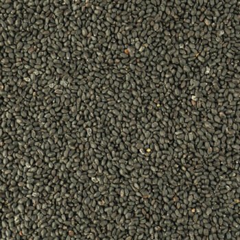 KARPOGA ARISI / SAMMANGI SEEDS