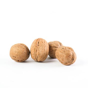 WALNUT (WITH SHELL)