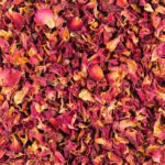 ROJA POO (ROSE PETALS)