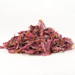 Sembaruthi Poo (Hibiscus) 1