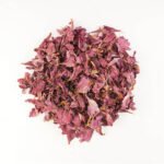 Sembaruthi Poo (Hibiscus) 1