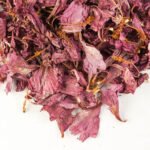 Sembaruthi Poo (Hibiscus) 1