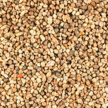 Cardamom Seed / Yela Arisi