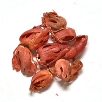 NUTMEG FLOWER / JATHI PATHIRI