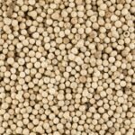 WHITE PEPPER / VELLAI MILAGU